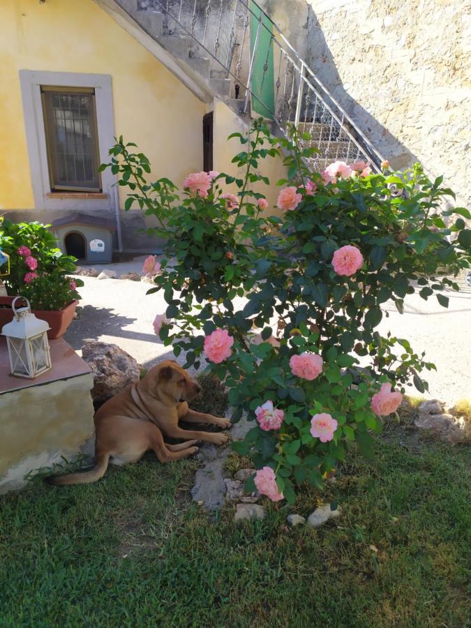 Il Giardino Dei Semplici B&B Caulonia Buitenkant foto